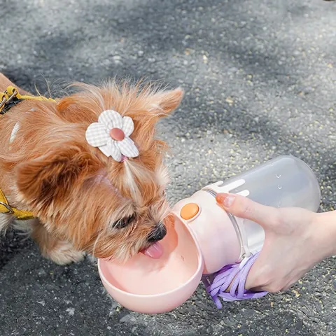 Portable Pet Water Bottle Heart Shaped PP Plastic Leak Proof Outdoor Walking Travel Drinking Dispenser For Dogs Cats