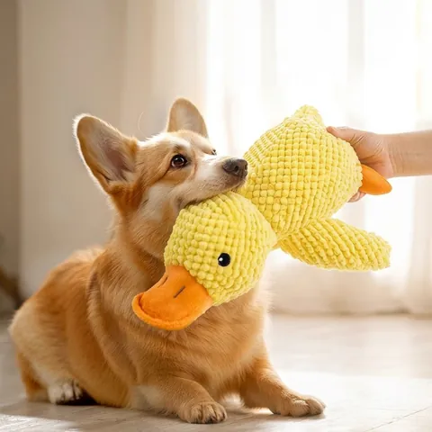 Giocattolo di Peluche per Animali Domestici a Forma di Anatra Gialla Giocattolo da Masticare per Cani Durevole in Velluto a Coste per Alleviare la Noia