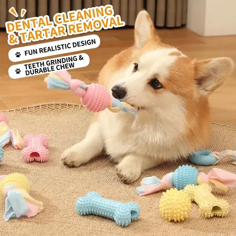 Durable TPR Dog Chew Toy Macaron Colors Spiked Bone Ball Rope Toy For Small Medium Dogs Teeth Cleaning Training Interactive Play