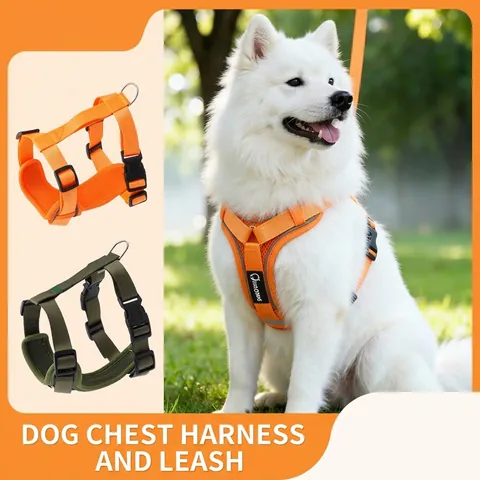Verstellbares Ausbruchsicheres Hundegeschirr Und Leine Set Atmungsaktives Nylon Reflektierende Netzweste Für Mittlere Große Hunde Wandern