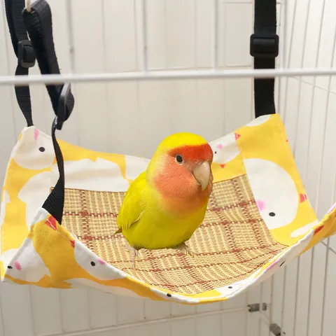 Summer Small Pet Hammock Breathable Linen Cooling Mat Hanging Bed For Hamster Chinchilla Squirrel Sugar Glider Cartoon Animal Print Pet Cage Sleeping Accessory