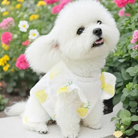 Gilet en Maille pour Chien Chat Été Respirant Vêtements pour Chiots Imprimé aux Fruits Robe sans Manches pour Chiens Petits Moyens