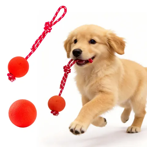 Massief Rubberen Stuiterbal Hondenspeelgoed Voor Grote Honden Duurzaam Gebitsreiniging Kauwspeelgoed Interactieve Touwbal Huisdierbenodigdheden