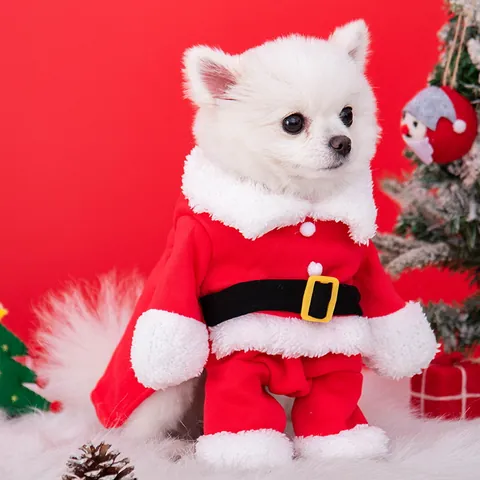 Festive Polyester Santa Claus Pet Costume Upright Standing Outfit With Hat For Small Dogs Cats Puppy Kitten Holiday Party Dress