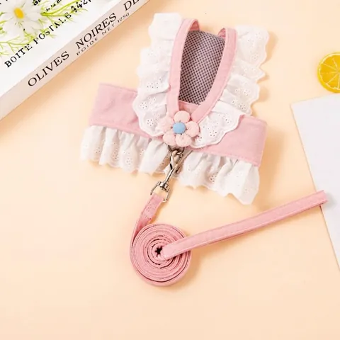 Ensemble Harnais et Laisse en Polyester pour Petits Chiens Chats Bordure en Dentelle Florale Décorative Maille Respirante Harnais