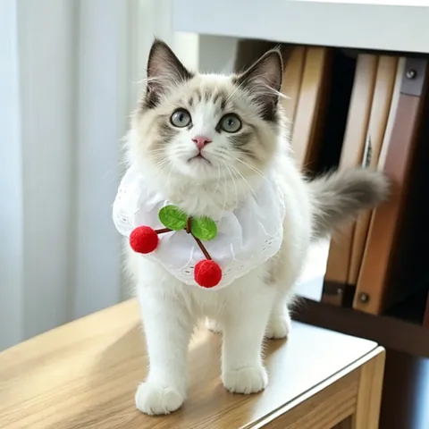 Cute Pet Lace Bib Collar For Cats Small Dogs Hollow Lace Saliva Towel With Cherry Bow Decor Princess Style Pet Scarf