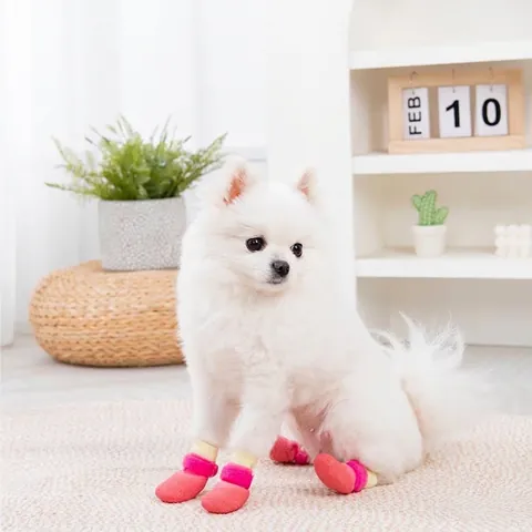 Zapatos y Calcetines Impermeables Antideslizantes para Perros Con Suela de Goma Suave y Correa Ajustable para Perros Pequeños y Medianos Calzado para Mascotas