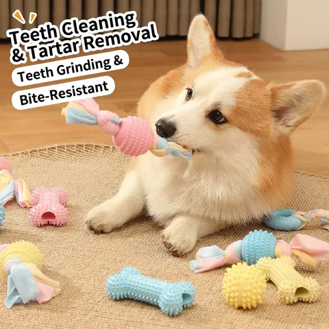 Langlebiges TPR Hundekauspielzeug Macaron Farben Gezackter Knochen Ball Seil Spielzeug Für Kleine Mittlere Hunde Zahnreinigung Training