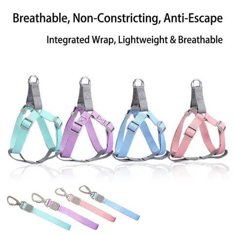Verstellbares Nylon Hundegeschirr Und Leine Macaron-Farbe Reflektierend Atmungsaktive Haustier Walking Weste Für Kleine Mittlere Hunde