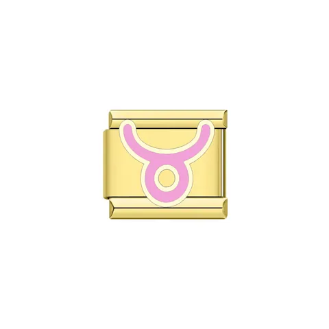 Modulo per Bracciale Italiano in Titanio Segno Zodiacale Smalto Rosa Componente per Gioielli Modulari per Uomo Donna