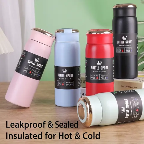 500ml Smart 304 Stainless Steel Vacuum Insulated Water Bottle With Temperature Display Portable Sports Car Cup Star Design