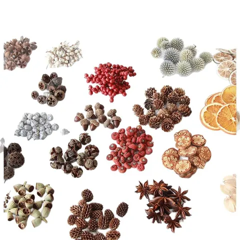 Natürliche Getrocknete Früchte Blumen Materialpaket Weihnachten DIY Handwerk Floristik Aromatherapie Botanik Dekor