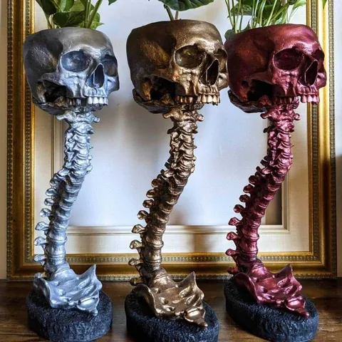 Maceta de Resina de Calavera Gótica Con Juego de Soporte de Columna Vertebral Maceta de Cabeza de Esqueleto Anatómico Adorno de Escritorio Creativo Decoración de Halloween para Hogar Oficina