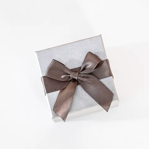 Caja de Regalo para Reloj Plata Mate Con Lazo de Satén Marrón Embalaje de Joyería Bolsa de Regalo Portátil Herramientas de Relojería
