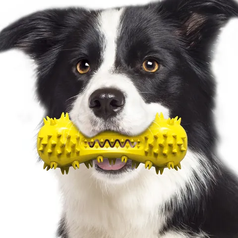 Jouet à Mâcher pour Chien en Forme d'Haltère Siffleur TPR Brosse à Dents Durable Nettoyage Dentaire Jouet Interactif