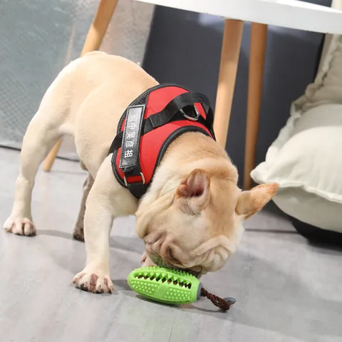 Jouet à Mâcher pour Chien Balle en Caoutchouc Brosse à Dents Nettoyage Dentaire Distributeur de Nourriture Bâton Molaire Durable pour Chiens