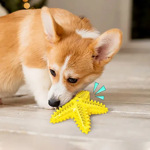 Seestern Form Quietschend Haustier Hund Spielzeug TPR Strukturierte Zahnreinigung Molar Zahnbürste Kauspielzeug Für Welpen Interaktives Kauspielzeug