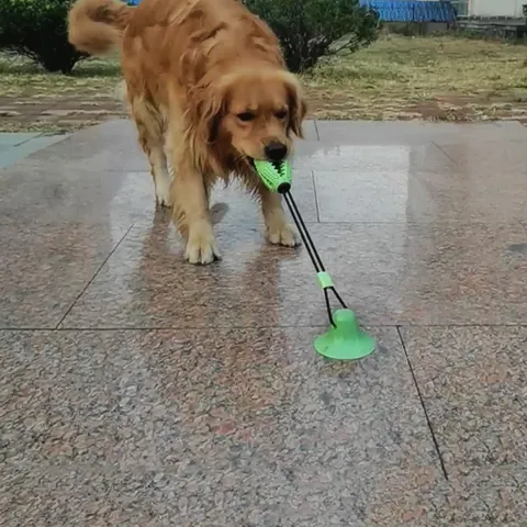 Haustier Backenzahn Saugnapf Hundespielzeug TPR Kauen Futterspender Ball Langlebig Interaktives Seilspielzeug Für Mittlere Große Hunde