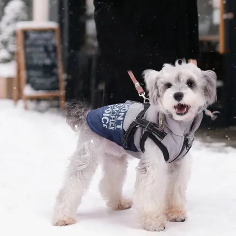 Waterproof Dog Winter Coat Reflective Padded Pet Jacket With Harness D-Ring Thickened Warm Flannel Lined Clothes For Small Medium Large Dogs