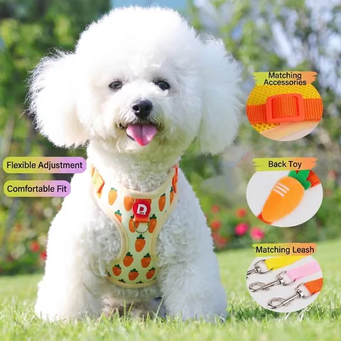 Breathable Mesh Small Dog Harness And Leash Set Adjustable Vest Style Carrot Avocado Strawberry Printed Puppy Pet Chest Strap