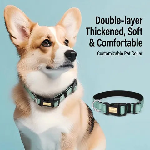 Collier pour Chien Réfléchissant Personnalisé Avec Étiquette ID en Métal Gravée Rembourré en Néoprène Polyester Respirant