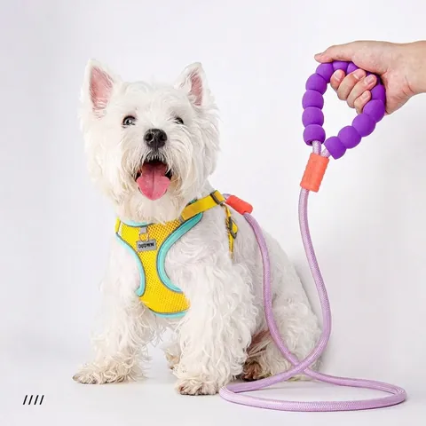 Dopamine Color Cloud Bubble Handle Pet Leash P-Chain Braided Dog Lead Soft Foam Grip P-Rope For Small Medium Dogs Outdoor Walking