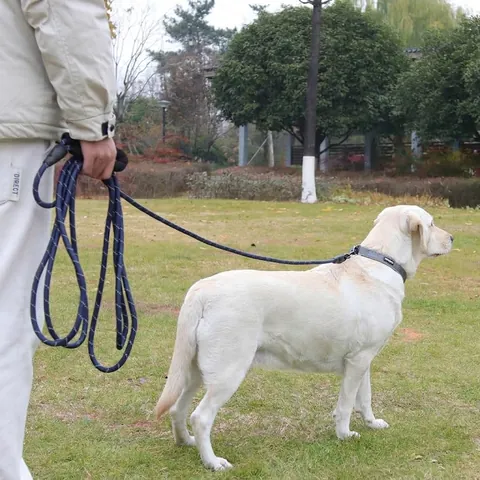 Reflecterende Nylon Hondenriem Lange Trainingslijn Gevoerd Schuim Handvat Draaibare Zware Haak Voor Grote Middelgrote Honden Buiten