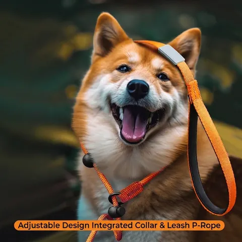 Nylon Braided Dog Leash Integrated Adjustable Slip Lead Slip Rope For Medium Large Dogs Anti-Shock Training Pet Leash