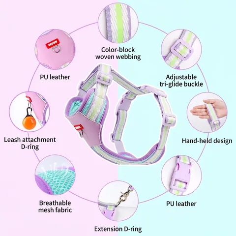 Breathable Mesh Dog Harness And Leash Set Lightweight H-Shaped Puppy Chest Vest Adjustable Color-Blocking Soft Pet Walking Harness For Small Medium Dogs