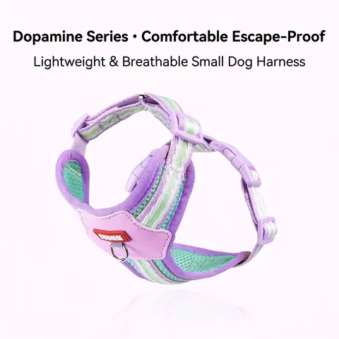 Contrast Dopamine Kleuren Huisdier Hondenharnas Lijn Set Ademend Mesh Nylon Gevoerd Vest Verstelbaar Harnas Voor Kleine Middelgrote Honden