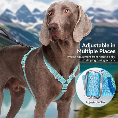 Reflektierendes Hundegeschirr Sternennacht Sicherheit Verstellbar H-Form Nylon Gurtband Komfort Atmungsaktive Brustweste Für Haustierhunde