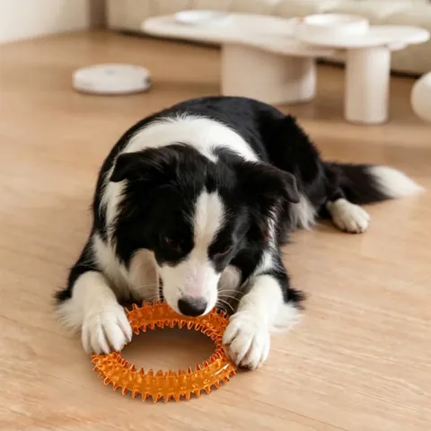 Oranje Huisdier Hond Kauspeelgoed Bijtbestendig TPR Doornring Frisbee Trekring Interactief Tandreiniging Speelgoed Voor Grote Honden