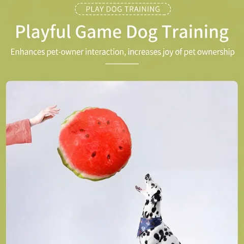 Haustier Quietsch-Plüschobstspielzeug Mit Knisterpapier Langlebiges Bissfestes Molaren-Kauspielzeug Für Hunde Und Katzen Fruchtscheiben-Serie
