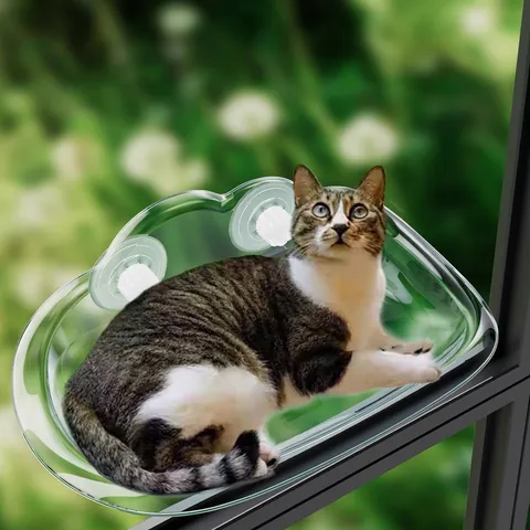 Schwebendes Fenster Katzenbett Transparent Saugnaof Katzenhängematte Wolkenform PVC Haustier Hängenest Zum Sonnenbaden