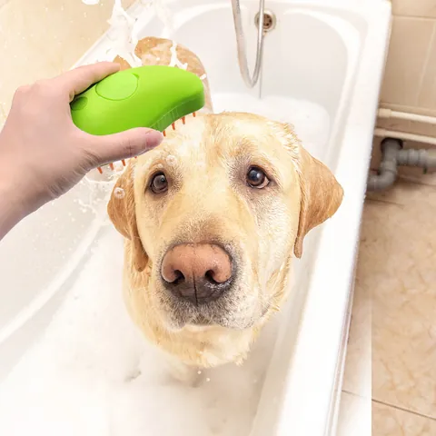 Mango Shaped Pet Spray Massage Comb USB Rechargeable De-shedding Brush For Cats Dogs Anti-Flying Hair Grooming Tool