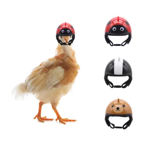 Cute Cartoon Mini Pet Helmet For Hamster Parrot Chinchilla Small Animal Safety Hat With Adjustable Strap Ladybug Bear Star Pattern Pet Photo Props