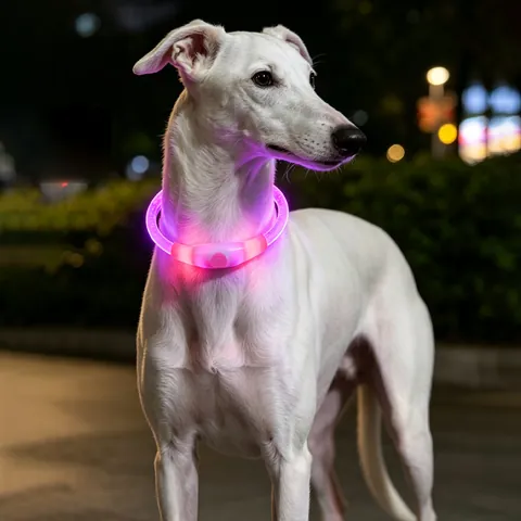 USB Rechargeable LED Dog Collar Waterproof Night Safety Glowing Pet Collar Cuttable Adjustable Luminous Neck Ring For Dogs