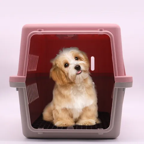 Caja de Transporte Portátil para Mascotas Perros y Gatos Jaula de Viaje de Plástico Transpirable con Puerta de Metal
