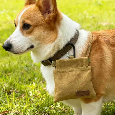 Tragbare Haustier-Leckerli-Tasche aus Segeltuch für Hundetraining Outdoor-Walking Wasserdichter Snack-Beutel mit Karabiner-Metallfeder-Öffnung