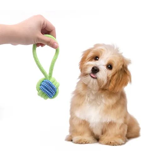 Langlebiges Hundekauspielzeug Baumwollseil Geflochtener Knoten Zahnreinigung Langeweile Linderung Interaktives Haustierspielzeug Für Welpen Große Hunde