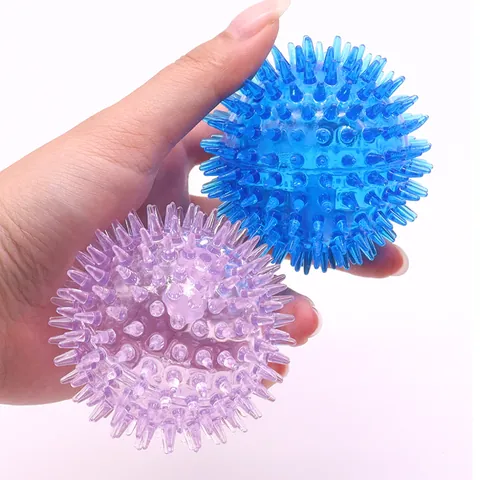 Jouet Siffleur pour Chien Balle à Pointes Élastique en TPR Nettoyage des Dents Molaires Petits Grands Accessoires Interactifs