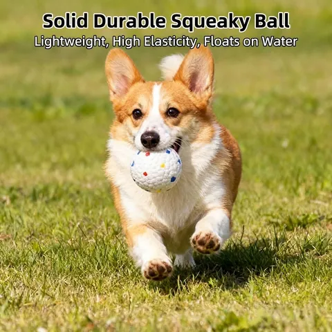 Huisdier Honden Speelgoed ETPU Elastische Kauwbal Onverwoestbare Massieve Molar Bal Popcorn Textuur Trainingsspeelgoed