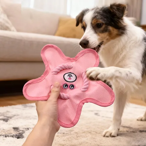 Jouet Frisbee Siffleur pour Chien en Tissu Oxford Étoile Jouet à Mâcher Interactif Papier Froissé pour Chiots