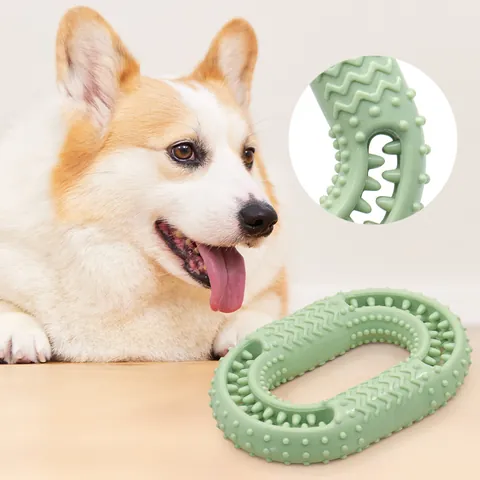 Langlebiges TPR Gummi Hundespielzeug Ovaler Molarenring mit Zahnreinigungstextur Interaktives Haustierspielzeug Gegen Langeweile Kleine Hunde