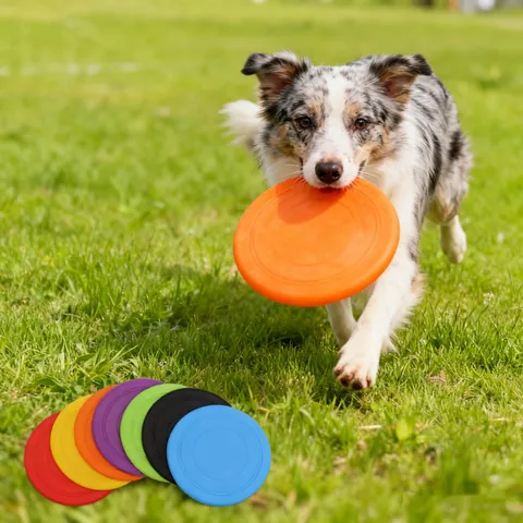 TPR Honden Frisbee Duurzame Huisdier Werpschijf Interactief Buitentraining Speelgoed Drijvende Flexibele Schijf Voor Honden