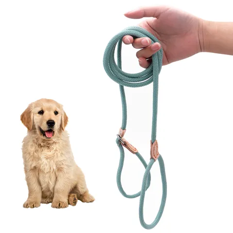 Pet Collars & Leashes