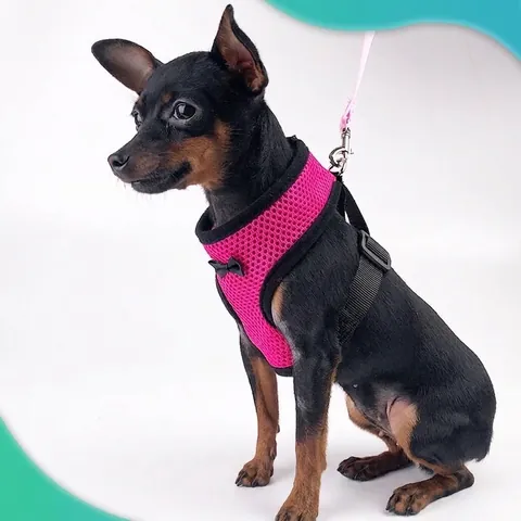 Juego de Arnés Y Correa de Malla de Poliéster Transpirable Para Mascotas Estilo Chaleco Anti-Escape Con Lazo Para Perros Pequeños Gatos Cachorro