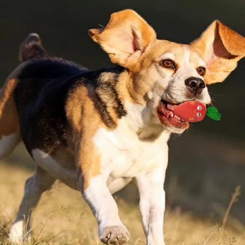 Giocattolo di Peluche per Animali Domestici per Cani a Forma di Frutta e Verdura Morbida per la Pulizia dei Denti Interattivo per Cani di Piccola e Media Taglia