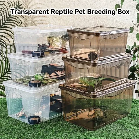 Transparente Reptilienzuchtbox Tragbare PP Kunststoff Habitat Terrarium Käfig Für Spinne Insekt Schnecke Eidechse Schildkröte Hamster