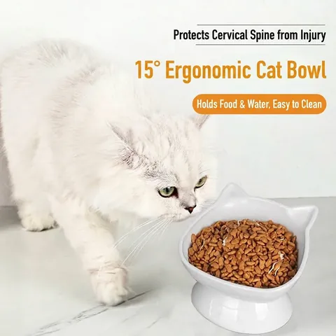 Elevated Cat Bowl Tilted Elevated Pet Food Water Bowl Plastic Neck Protection Anti-Tip Cat Feeder Bowl For Cats And Small Dogs